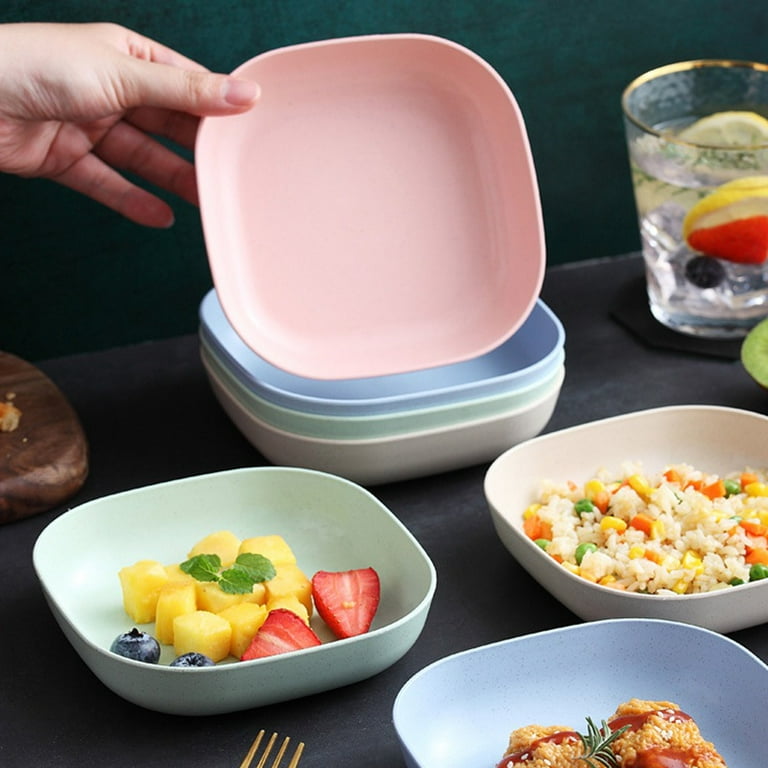 10 Piece Imported Set of Dish Plates with Free Holder in Rs 1299 Only - Trendy and Stylish