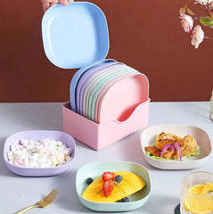 10 Piece Imported Set of Dish Plates with Free Holder in Rs 1299 Only - Trendy and Stylish